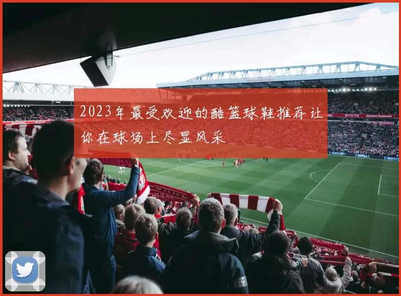 2023年最受欢迎的酷篮球鞋推荐让你在球场上尽显风采