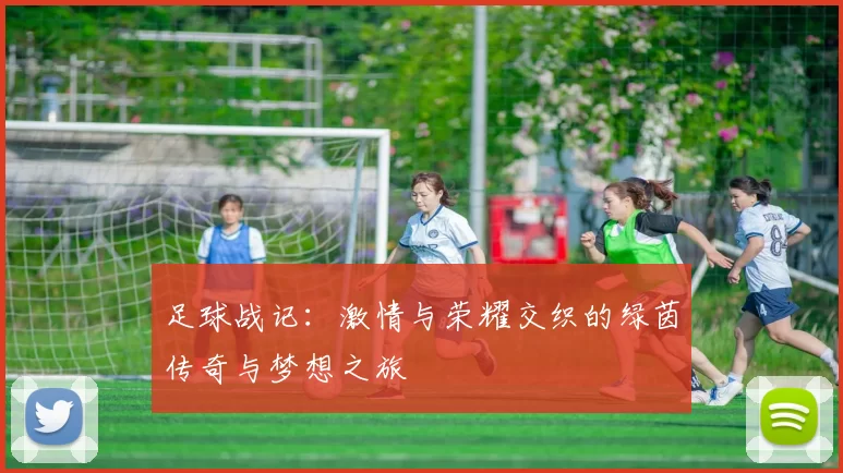 足球战记：激情与荣耀交织的绿茵传奇与梦想之旅