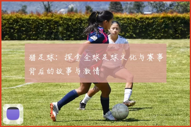 猎足球：探索全球足球文化与赛事背后的故事与激情